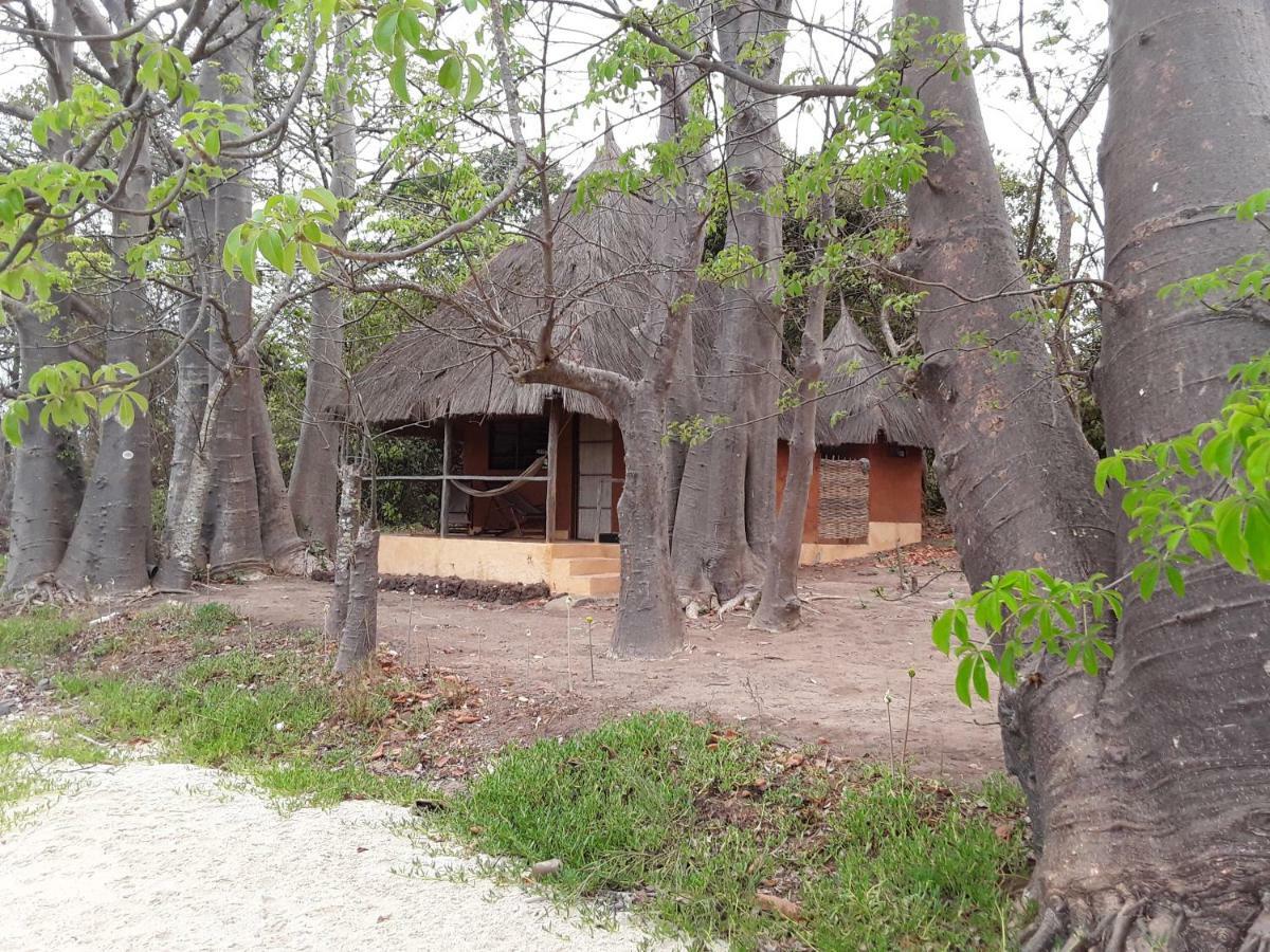 African Ecolodge Angurman Bruce Exterior photo